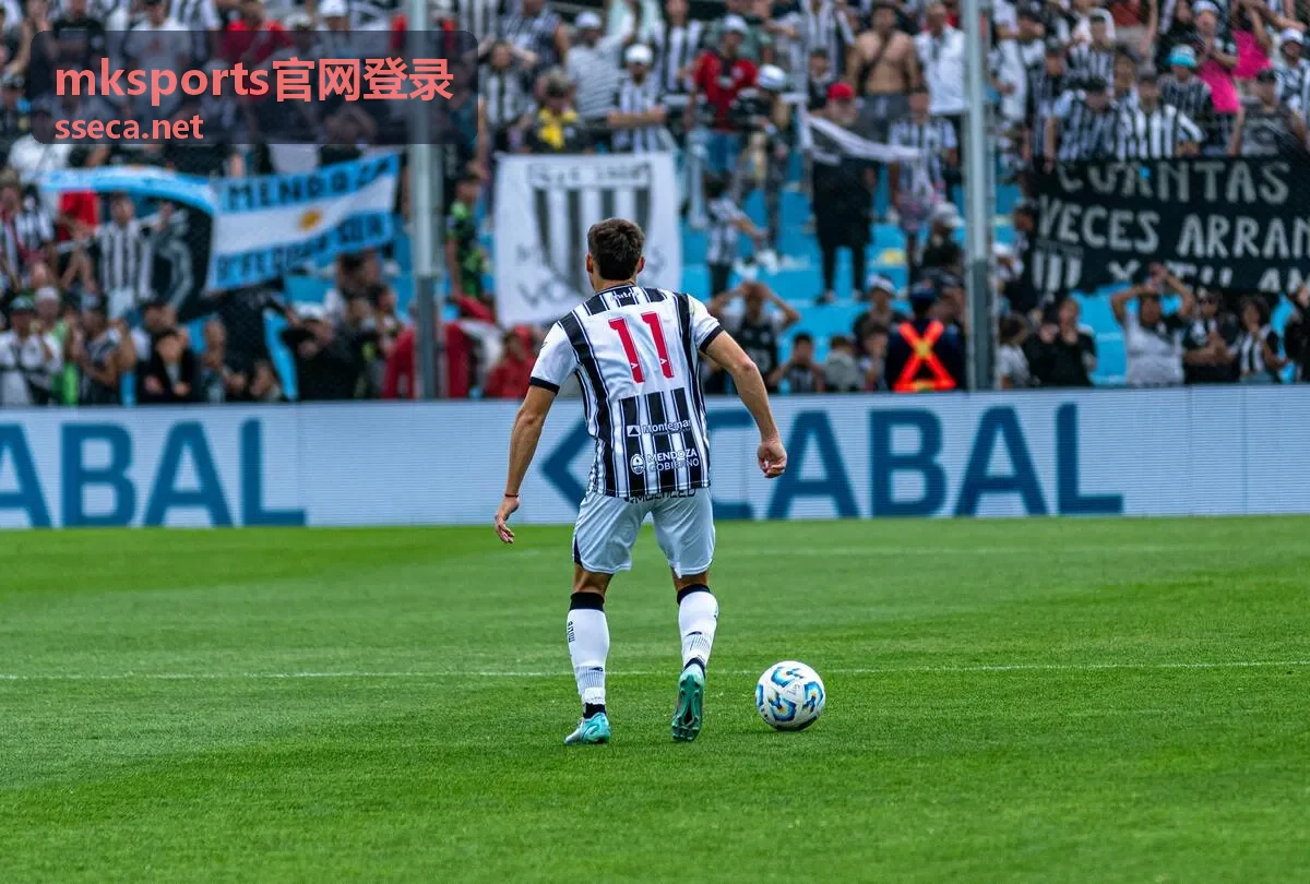 mksports官网登录客户端界面预览