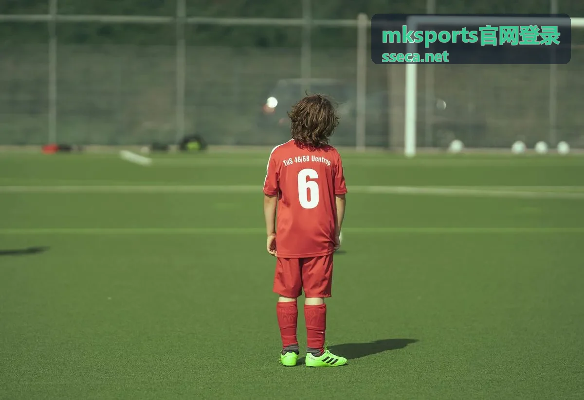 mksports官网登录安全验证界面